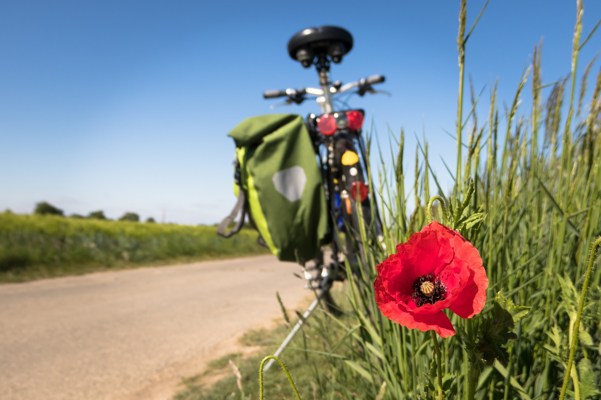 ciclabile-roma.jpg